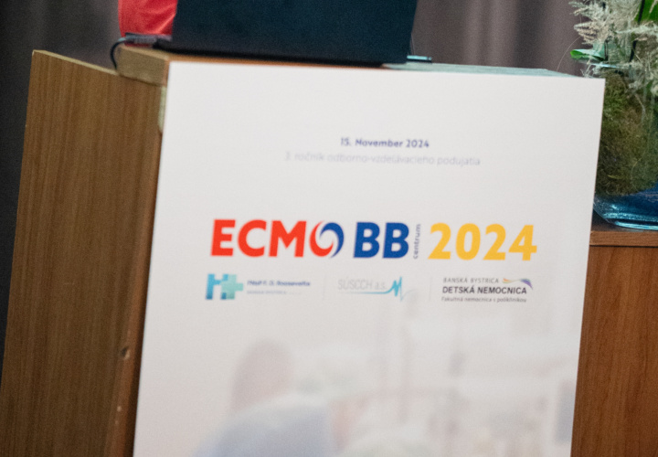 ECMO BB 2024